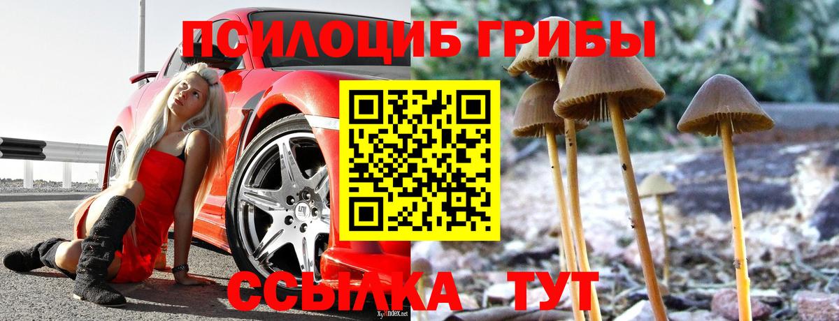 Нефтеюганск  Галлюциногенные грибы Cubensis  Псилоцибиновые грибы Magic Shrooms  Вход с VPN 